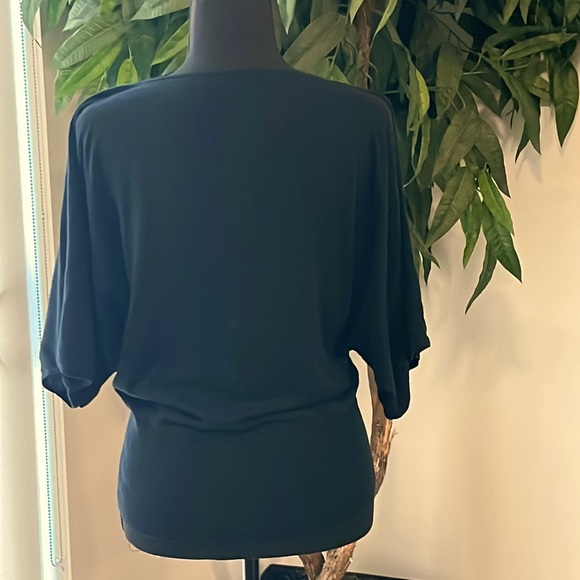 (EUC) Express V-Neck Top - Picture 3 of 4